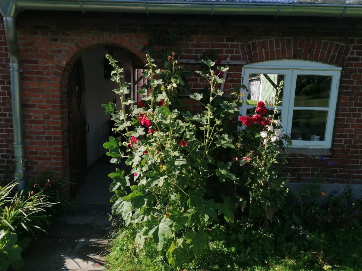 Fw Achterdeck, 1 Obergeschoss, Petershof-Lehbek Apartment Gelting Exterior photo